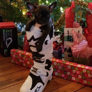 Meet your Posher, Tara